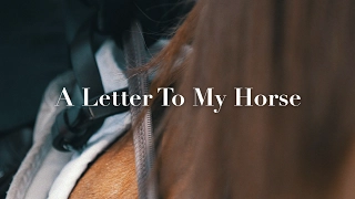 A Letter To My Horse