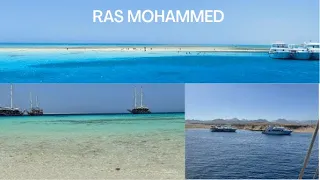 Ras Mohammed/White Island | 4K | Snorkelling in Sharm El Sheikh 2022