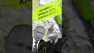 Почему у Путина была кличка моль? #путин #выборы #выборыпрезидента #putin #факты #истории