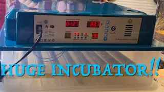 HETHYA Incubator!! Huge incubator assembly & set up!!