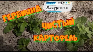 Гербицид Лазурит от фирмы АВГУСТ по картофелю