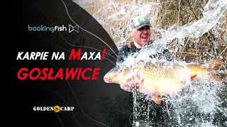 Gosławice - Karpie na Maxa - jak złowić karpia prawie 30kg.