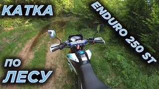 Лесная катка на Motoland Enduro 250 ST.