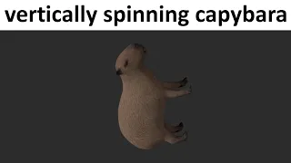 vertically spinning capybara