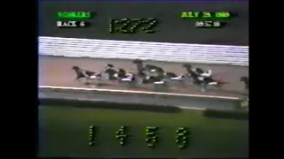 1989 Yonkers Raceway KICK UP A STORM Ron Waples Art Rooney Final