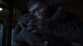 War for the Planet of the Apes - Caesar and Cornelius