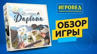 По стопам Дарвина. Обзор настольной игры от Игроведа