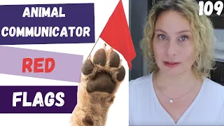 How to choose the right animal communicator 5 tips 🚩Don’t waste your money! Ep 109