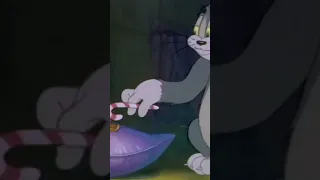 Tom & Jerry | Party with Tom and Jerry | @GenerationWB #shorts #viral #comedy #funny #hindi #anime