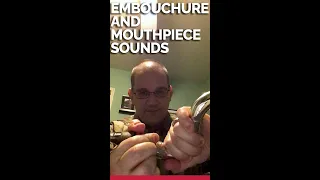 Beginning Bass Clarinet Series: Embouchure and Mouthpiece Sounds