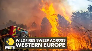 WION Climate Tracker| Blazes in Portugal & France: Extreme heat wave causes 360 deaths in Spain