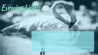 Z8phyR - Mom's Gift (original mix)