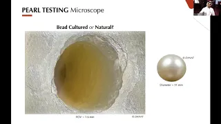 Cultured vs Natural Pearls by DANAT, Bahrain Institute of Pearls and Gemstones