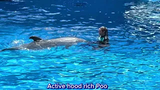 SEA WORLD WITH THE KIDS ON ACTIVE HOOD RICH BIRTHDAY MAY 2024