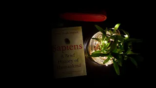 Reading "Sapiens - A Brief history of Humankind" by Yuval Noah Harari | Chapter - 2