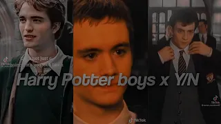 Harry Potter Boys x Y/N TikTok POV