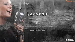 Gaeyeoul - IU (Instrumental & Lyrics)