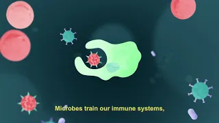 What Are Microbes? - LET THEM EAT DIRT - feature documentary