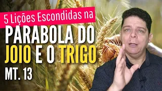 Estudo bíblico - Mt.13 - A parabola do joio e o Trigo