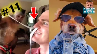 ПРИКОЛЫ 2024 смешные ВИДЕО ЧУДИКИ tiktok  Funny videos №11 тест на психику, попробуй не засмеяться