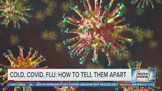 Cold, Flu or COVID-19: How to tell them apart | Rush Hour