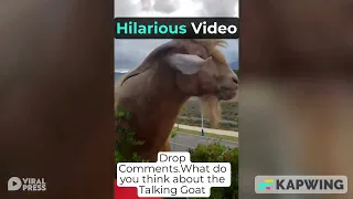 Goat and farmer carry on hilarious conversation.
