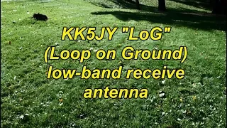 KK5JY "LoG" Loop on Ground low-band RX antenna at WX0V