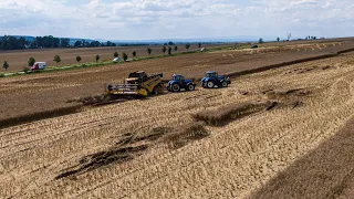 Žně 2020 - Řepka  | Harvest 2020 |  Claas lexion 550 +New Holland CX 6080