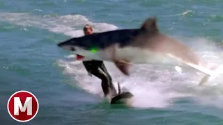 Empire of the Sharks (2017) - Pirate Shark Attack Scene