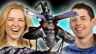 How Do Insects BREATHE? | Earth Unplugged