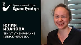 3D-культивирование клеток человека – Юлия Иванова