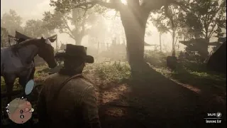 Red Dead Redemption 2 Gameplay: A Strange Kindness