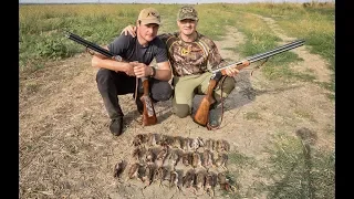 Quail Hunting In Romania (Balta Ialomitei), with Norbert Simon V234