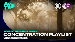 Mozart, Tchaikovsky, Dvořák, Bach et al. - Concentration Playlist - Classical Music HD