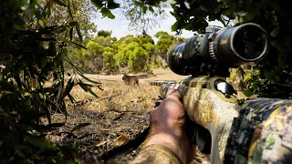 Outback Hunt: Hunting a MONSTER Chital Stag!