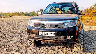 black panther early morning drive to jungle#tatasafaristorm#offroading#thar2022