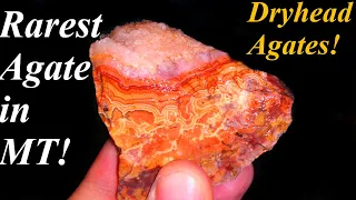I Can NOT Believe I Actually Have THESE! Dryhead Agates: the RAREST Agate in Montana!