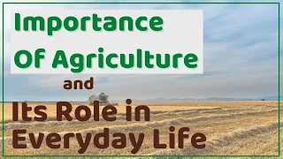 Why is Agriculture Important ? Importance Of Agriculture and  its Role in Everyday Life