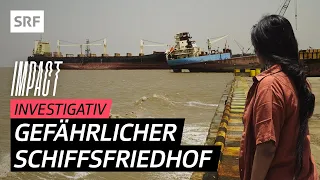 Problematische Verschrottung – MSC-Schiffe in Indien entsorgt | Impact Investigativ | SRF