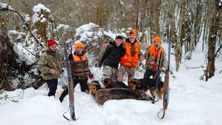 Derin karda domuz avı 🐗 wild boar hunting in the snow 🐗 #caccia #gopro #wildboar