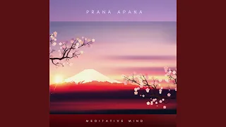 Prana Apana