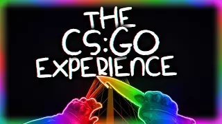 THE CS:GO EXPERIENCE