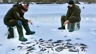 Такого ЖОРУ ОКУНЯ ЩЕ НЕ БУЛО! Просто КИШИТЬ під ЛУНКАМИ!