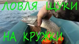 Ловля щуки на кружки.  Первый опыт.