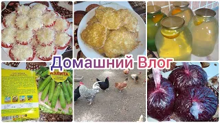 Нас ждёт Пополнение Игорь Согласился Домашний Влог