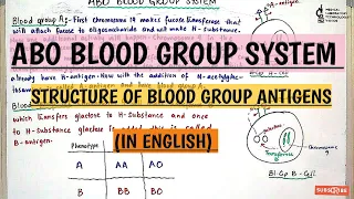 ABO Blood Group System.how Blood group antigens formed?What is H antigen present on each red cell.