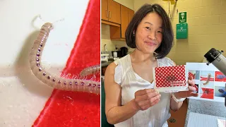 She found an insect ecosystem inside a huge sculpture, then found a way to get them out