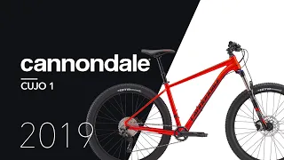 Cannondale Cujo 1