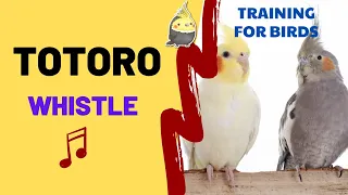 TOTORO with WHISTLE Cockatiel Singing Training - Whistle Songs For Birds - For Parrots