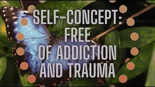 Change Your Beliefs While You Sleep: Releasing Addictions And Traumas  (8 Hour Track)